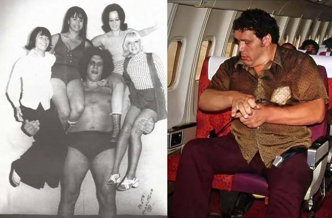 "andre the giant wife"